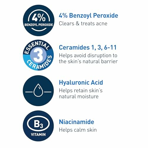 Infographic of skincare ingredients: Benzoyl Peroxide, Ceramides, Hyaluronic Acid, Niacinamide.